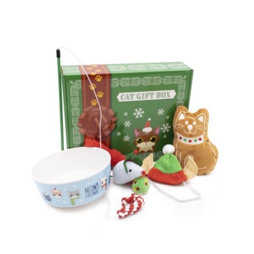Holiday Gift Box for Cats